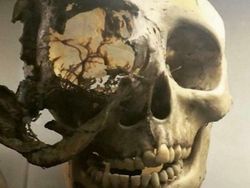 Deretan Foto Aneh Bikin Merinding Ketika Melihatnya