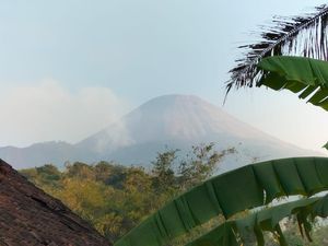 Luas Hutan Gunung Penanggungan yang Terbakar Capai 80 Hektare