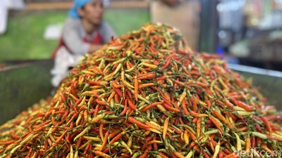 Pedasnya Harga Cabai di Surabaya
