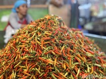 Pedasnya Harga Cabai di Surabaya
