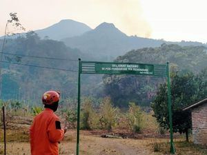 Jalur Pendakian Masih Ditutup Dampak Gunung Penanggungan Terbakar