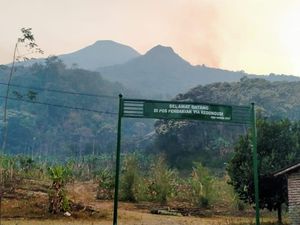 Kebakaran di Gunung Penanggungan: Awal Mula hingga Kondisi Terkini
