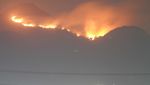 45 Hektare Hutan dan Lahan Gunung Penanggungan Terbakar
