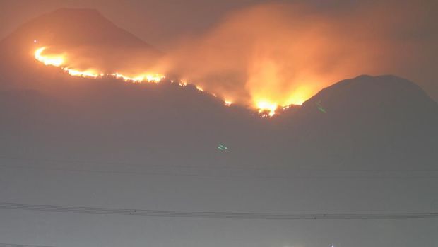 Api membakar hutan dan lahan di Gunung Penanggungan, Kabupaten Mojokerto, Jawa Timur, Kamis (2/11/2023). Menurut data Badan Penanggulangan Bencana Daerah (BPBD) Jawa Timur sekitar 45 hektare hutan dan lahan terbakar di Blok Petak 1 Gunung Penanggungan. ANTARA FOTO/Umarul Faruq/tom. *** Local Caption *** dengan luas lahan yang terbakar