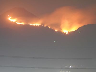 45 Hektare Hutan dan Lahan Gunung Penanggungan Terbakar