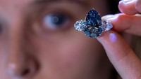 Seorang pegawai memegang berlian Bleu Royal di Jenewa, Swiss, Rabu (1/11/2023).  