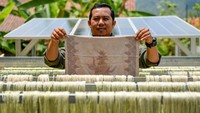 Serat yang sudah dikeringkan lalu disulap menjadi produk eco fashion mulai dari batik hingga tas lho.