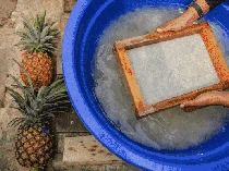 Pemanfaatan Serat Olahan Daun Nanas Menjadi Produk Eco Fashion