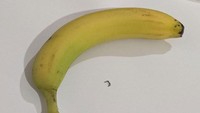 Membeli sebuah pisang segar, seorang netizen terkejut hampir menelan potongan besi. Bentuknya yang bengkok menancap dalam pada pisangnya. Foto: Bored Panda