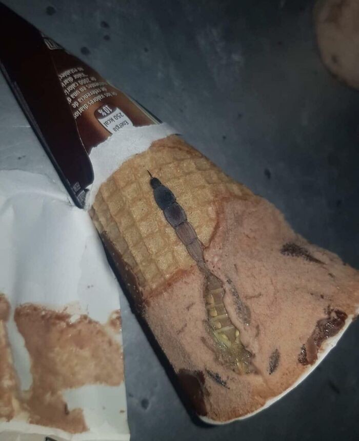 Penemuan benda dalam makanan 10 Penemuan Benda Aneh Dalam Makanan Bikin Nafsu akan Hilang