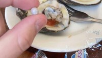 Bak ketiban rezeki! Tamu yang sedang menikmati tiram segar ini mendapatkan mutiara yang berkilau. Mutiara itu hampir tertelan karena tak berhati-hati.  Foto: Bored Panda