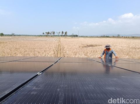 Petani di Desa Kalijaran, Kecamatan Maos, Kabupaten Cilacap, memanfaatkan sumur bor bertenaga surya , Jumat (3/11/2023).