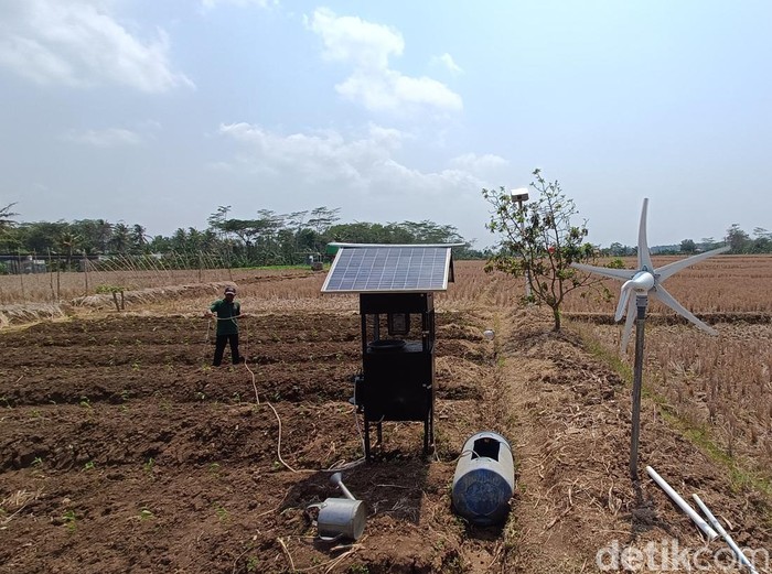 Petani di Desa Kalijaran, Kecamatan Maos, Kabupaten Cilacap, memanfaatkan sumur bor bertenaga surya , Jumat (3/11/2023).