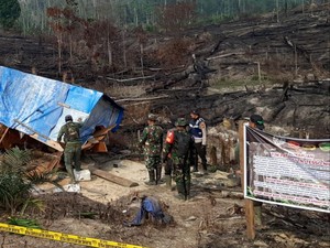 Robohkan 15 Pondok Perambah Hutan di Riau, Petugas Kena Ranjau Paku