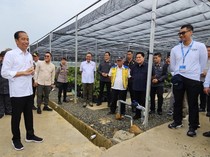Dirut PLN: Kelistrikan di IKN Berbasis Energi Baru Terbarukan
