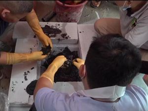 Klinik Aborsi Jaktim Buang Janin ke Septic Tank, 7 Kerangka Ditemukan