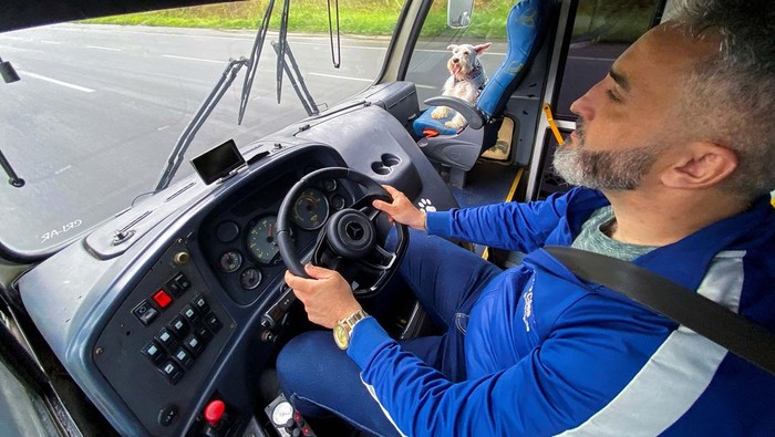 Potret Lucu Anjing Naik Bus Bareng di Brasil Sejumlah anjing diangkut menggunakan bus ke tempat penitipan di Brasil. Anjing-anjing itu sangat menikmati perjalanannya dengan duduk santai di kursi bus.