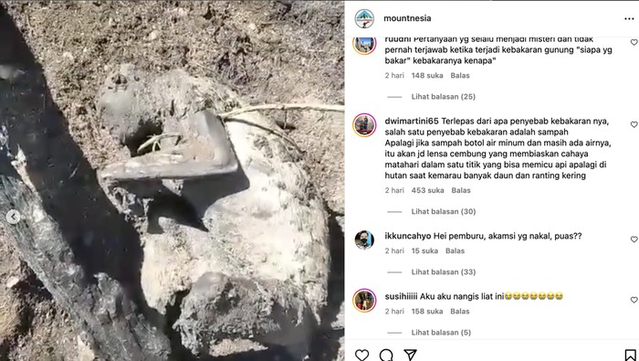 Satwa liar terbakar di Gunung Merbabu