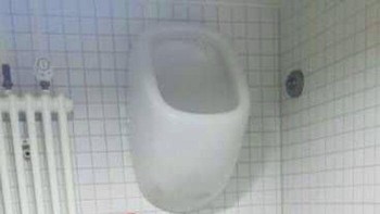 Hidup lagi capek-capeknya, eh mau buang air kecil aja harus nemplok di dinding. Foto: (Bored Panda).