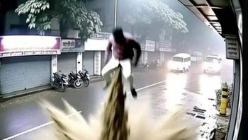 Bisa terbang sampai bulan tidak ya? Foto: (Bored Panda).