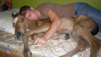 Apakah ini yang disebut jomblo ngenes? Foto: (Bored Panda).