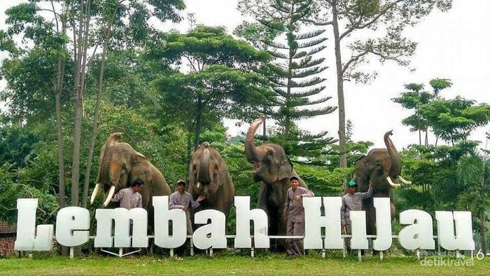 Photo Lembah Hijau Lampung