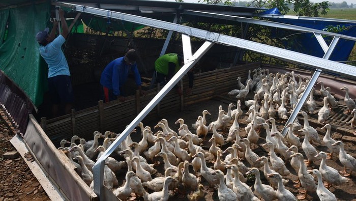 Dampak angin puting beliung di Madiun Warga memindahkan atap teras bangunan toko yang roboh akibat angin puting beliung di Desa Klecorejo, Mejayan, Madiun, Jawa Timur, Sabtu (4/11/2023). Angin puting beliung yang disertai hujan di wilayah tersebut terjadi pada Jumat (3/11) mengakibatkan sejumlah bangunan rumah, sekolah, toko, kandang rusak dan sejumlah tiang listrik roboh. ANTARA FOTO/Siswowidodo/nym.