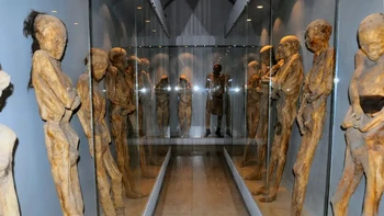 Museo de las Momias, museum mumi di Meksiko, berisi lebih dari 100 mumi yang diawetkan sangat baik. Museo de las Momias muncul setelah pajak besar, yang diterapkan tahun 1865, menyebabkan kota Guanajuato menggali mayat anggota keluarga yang tidak mampu membayarnya untuk memeras mereka. Karena kondisi tanah kering, ketika mayat-mayat itu digali, kondisinya sangat terpelihara. Praktek mengerikan ini baru berakhir pada tahun 1958, dan pada saat itu osuarium telah mengumpulkan cukup banyak mayat yang untuk dijadikan museum, yang merupakan objek wisata populer. Foto: Insider