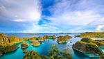 Keindahan Bawah Laut Raja Ampat yang Tak Terkira