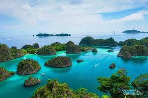 Keindahan Bawah Laut Raja Ampat yang Tak Terkira