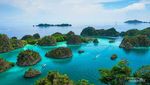 Keindahan Bawah Laut Raja Ampat yang Tak Terkira