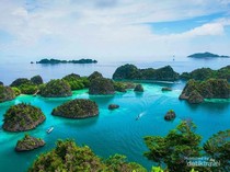 Keindahan Bawah Laut Raja Ampat yang Tak Terkira