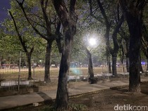 Potret Makam Tujua di Karebosi Makassar yang Dikeramatkan Warga