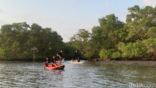 Menyusuri hutan mangrove menggunakan kano di KUB Simbar Segara, Pemogan, Denpasar, Bali.