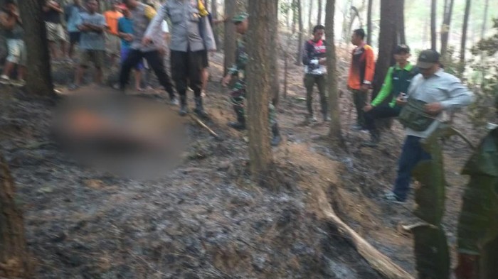 Petani di Trenggalek ditemukan tewas terbakar saat kebakaran hutan