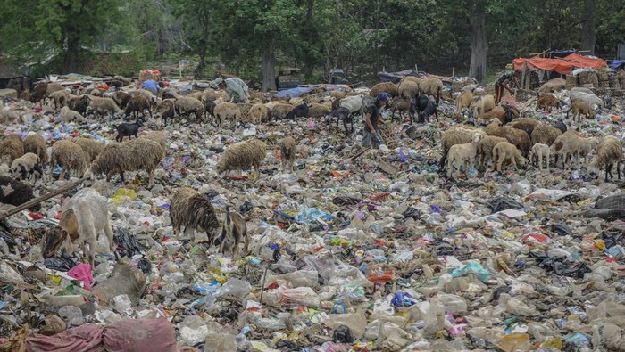 Pemulung mencari sampah botol plastik di TPA Dengung, Lebak, Banten, Sabtu (4/10/2023). Pemerintah Kabupaten Lebak berencana membangun tempat pemrosesan akhir sampah (TPAS) regional pertama di Banten dengan luas lahan mencapai 25 hektar di Dengung, guna menampung limbah bahan beracun dan berbahaya (B3) se-Provinsi Banten. ANTARA FOTO/Muhammad Bagus Khoirunas/rwa.