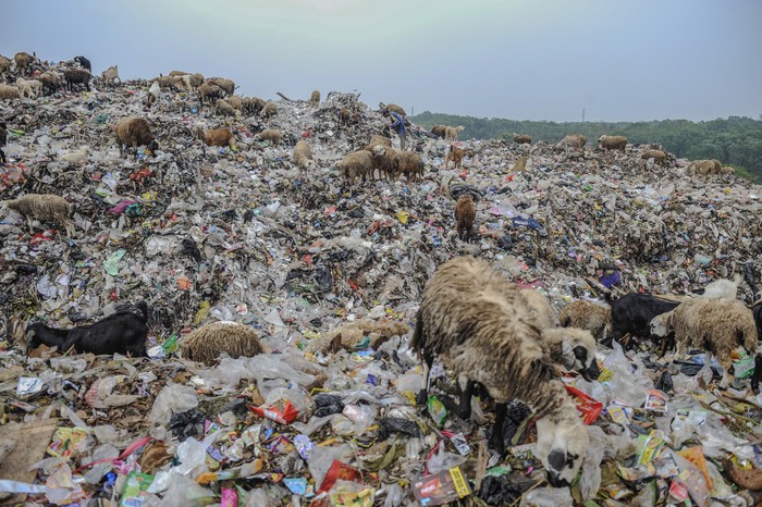 Pemulung mencari sampah botol plastik di TPA Dengung, Lebak, Banten, Sabtu (4/10/2023). Pemerintah Kabupaten Lebak berencana membangun tempat pemrosesan akhir sampah (TPAS) regional pertama di Banten dengan luas lahan mencapai 25 hektar di Dengung, guna menampung limbah bahan beracun dan berbahaya (B3) se-Provinsi Banten. ANTARA FOTO/Muhammad Bagus Khoirunas/rwa.