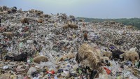 Pemulung mencari sampah botol plastik di TPA Dengung, Lebak, Banten, Sabtu (4/10/2023).