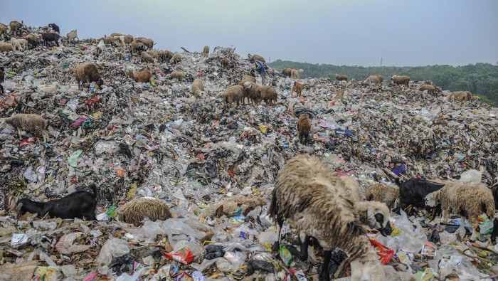 Pemulung mencari sampah botol plastik di TPA Dengung, Lebak, Banten, Sabtu (4/10/2023). Pemerintah Kabupaten Lebak berencana membangun tempat pemrosesan akhir sampah (TPAS) regional pertama di Banten dengan luas lahan mencapai 25 hektar di Dengung, guna menampung limbah bahan beracun dan berbahaya (B3) se-Provinsi Banten. ANTARA FOTO/Muhammad Bagus Khoirunas/rwa.