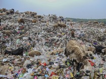 Banten Bakal Bangun TPAS Seluas 25 Hektare