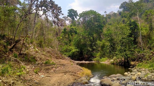 Potret wajah spot wisata Sori Nae, tampak gersang karena sebagian besar pohon yang ada ditebang.