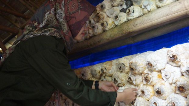 Ibu-ibu Jambangan membuat es krim berbahan jamur dan sayuran untuk mencegah stunting.
