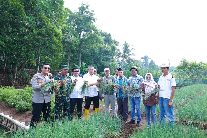Jaga Ketahanan Pangan, Walkot Benyamin Panen Jagung Pulut-Bawang Merah
