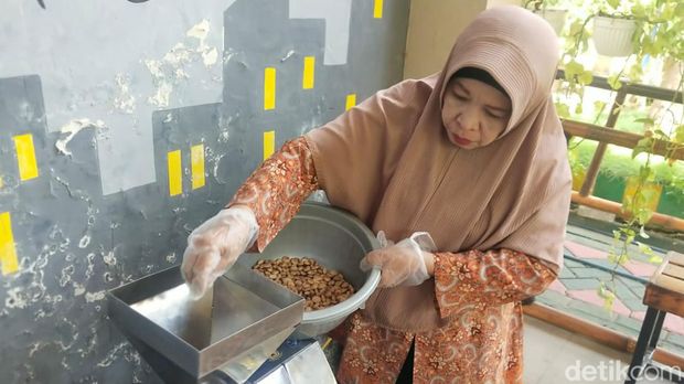 Kacang Sacha Inchi Satu Padu Jambangan