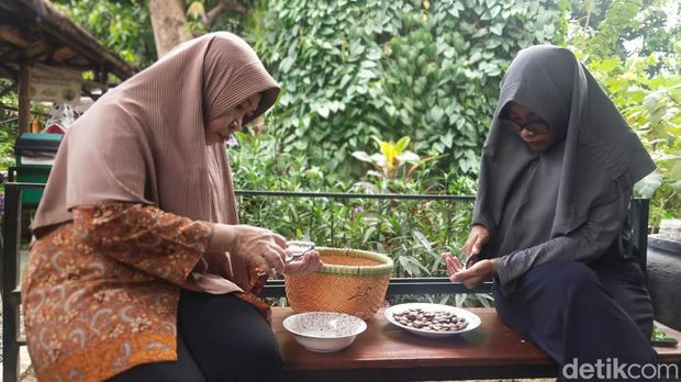 Kacang Sacha Inchi Satu Padu Jambangan
