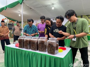 Serunya Lomba Racik dan Linting Tembakau Perdana di Blitar
