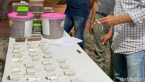 Festival meracik dan melinting tembakau digelar di Blitar. Acara perdana di Jatim ini diikuti milenial yang antusias beralih ke rokok lintingan.