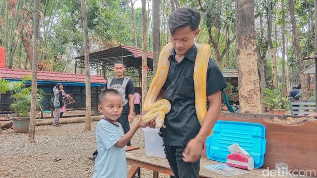 Mini zoo di wisata Tiga Bintang Firdaus Water Park Indramayu