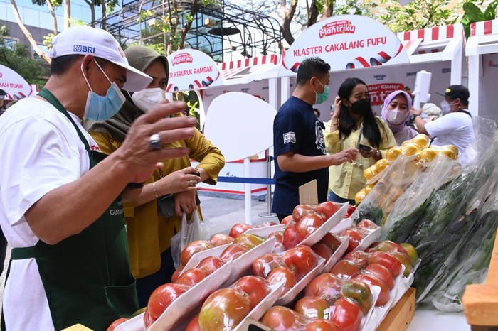 Pemberdayaan dan Pendampingan BRI Sentuh 19.533 Klaster Usaha