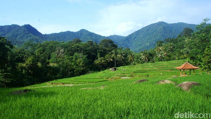 Area Bukti Sidampyak, Kampung Turis Karawang